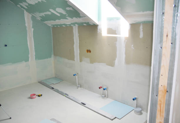 Frankfort, MI Mold Removal Company