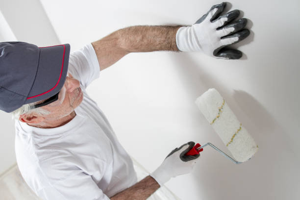 Best Mold Odor Removal Services  in Frankfort, MI