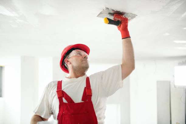 Best Post-Remediation Verification Testing  in Frankfort, MI