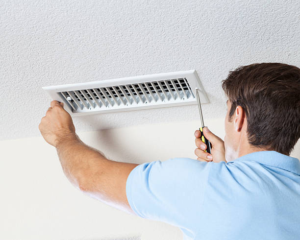 Best Attic Mold Removal  in Frankfort, MI