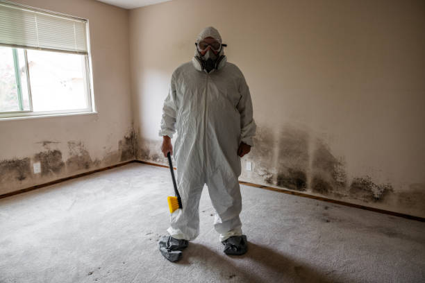 Best Commercial Mold Inspection  in Frankfort, MI