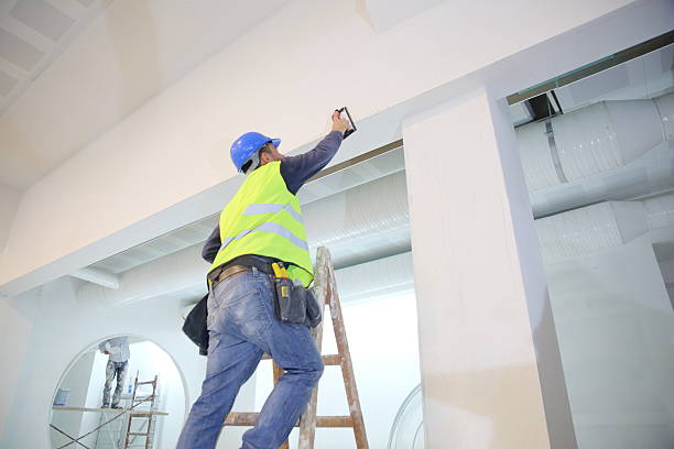 Best Real Estate Mold Inspection  in Frankfort, MI