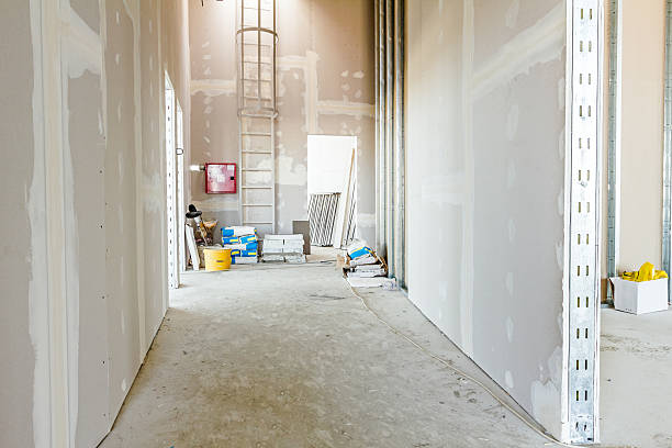 Best HVAC Mold Inspection and Cleaning  in Frankfort, MI