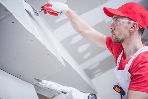 Best Asbestos and Lead Testing During Mold Inspection  in Frankfort, MI