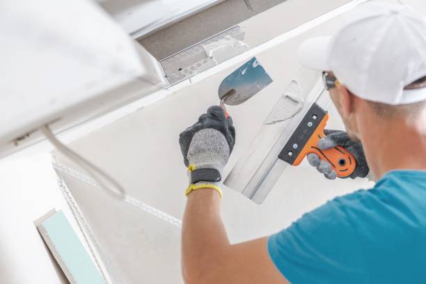 Best Environmental Consulting for Mold Prevention  in Frankfort, MI